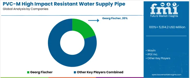 Pvc M High Impact Resistant Water Supply Pipe Market Analysis By Company