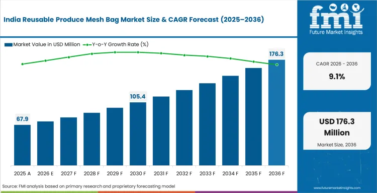 Reusable Produce Mesh Bag Market Country Value Analysis Reusable Produce Mesh Bag Market Country Value Analysis