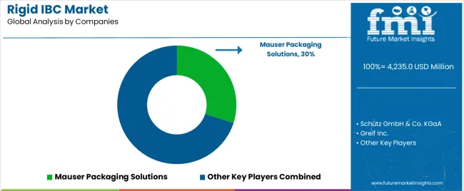 Rigid Ibc Market Analysis By Company