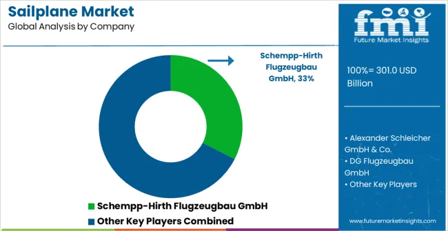 Sailplane Market Analysis By Company