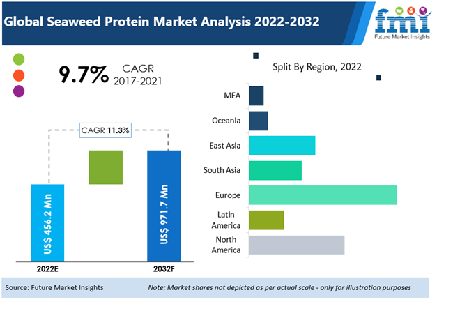 Seaweed Protein Market