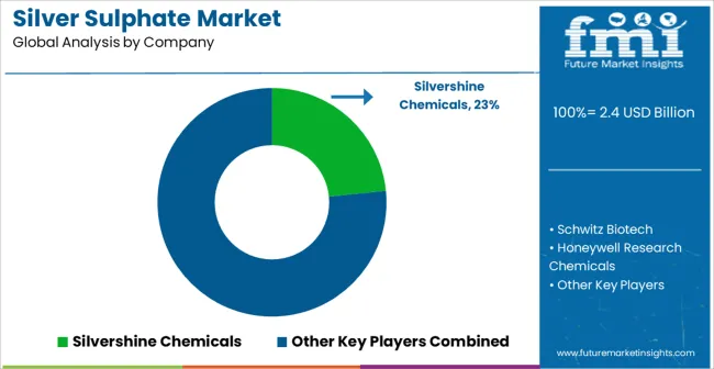Silver Sulphate Market Analysis By Company