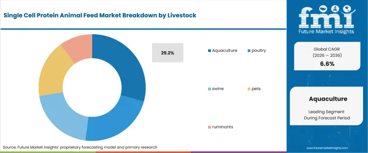 Single Cell Protein Animal Feed Market Analysis By Livestock Single Cell Protein Animal Feed Market Analysis By Livestock