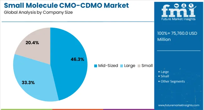 Small Molecule Cmo Cdmo Market Analysis By Company Size Small Molecule Cmo Cdmo Market Analysis By Company Size