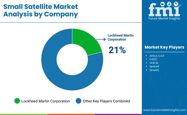 Small Satellite Market Analysis By Company