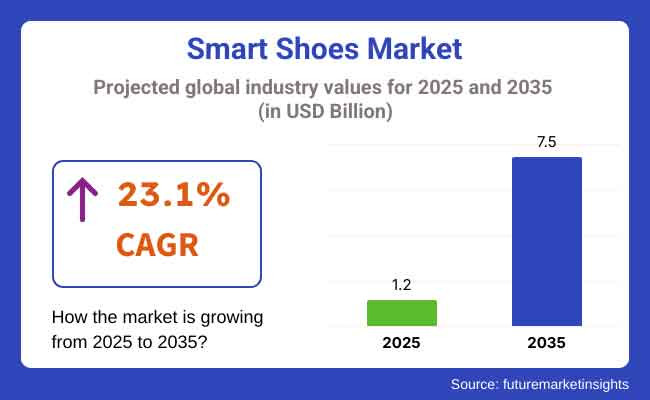 Smart Shoes Market