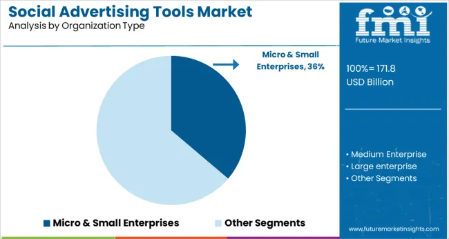 Social Advertising Tools Market Analysis By Organization Type
