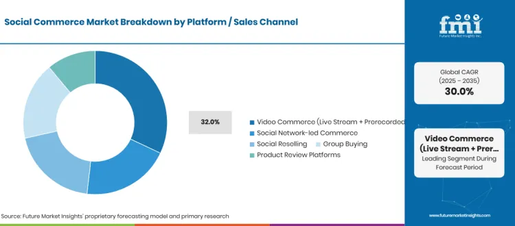 Social Commerce Market Breakdown Platform  Sales Channel