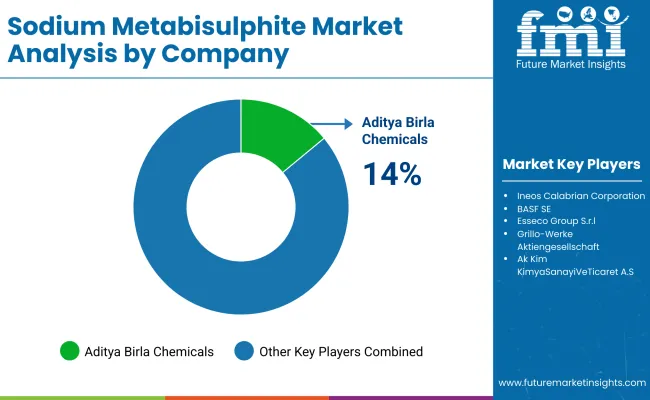 Sodium Metabisulfite Market By Company Sodium Metabisulfite Market By Company