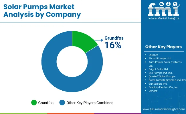 Solar Pumps Market Analysis By Company