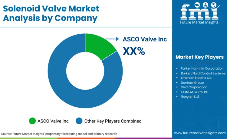 Solenoid Valve Market By Company