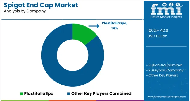 Spigot End Cap Market Analysis By Company