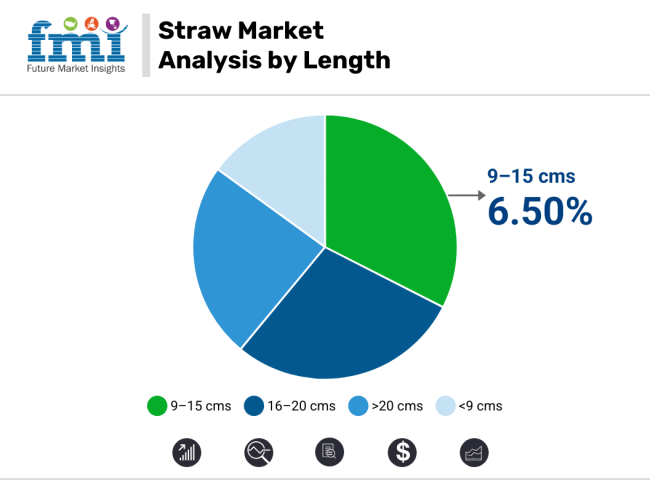 Straws Market Analysis By Length