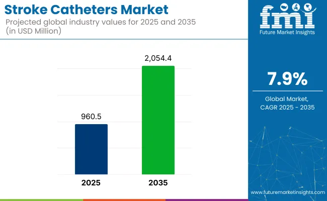 Stroke Catheters Market