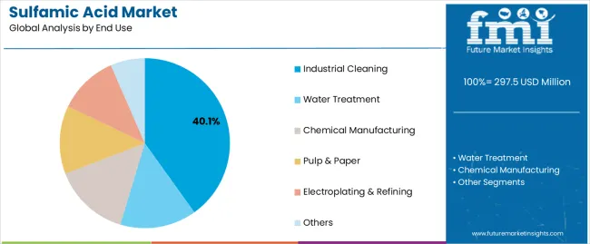 Sulfamic Acid Market Analysis By End Use