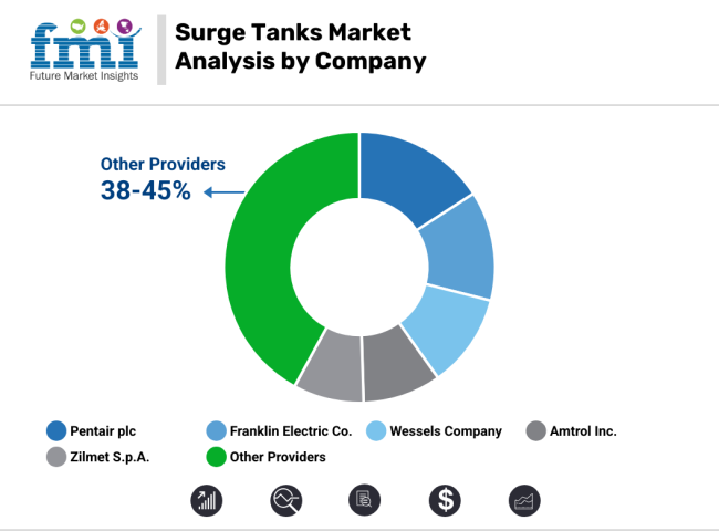 Surge Tanks Market Analysis By Company