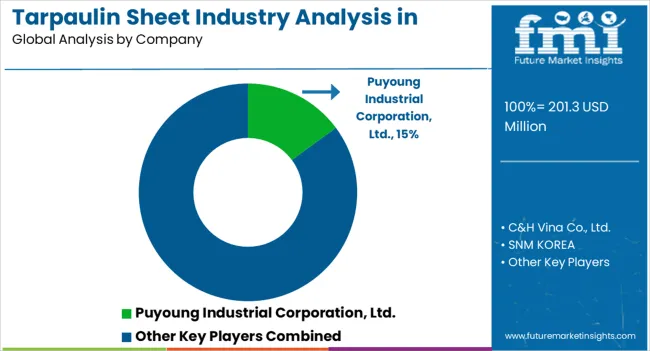 Tarpaulin Sheet Industry Analysis In Korea Analysis By Company