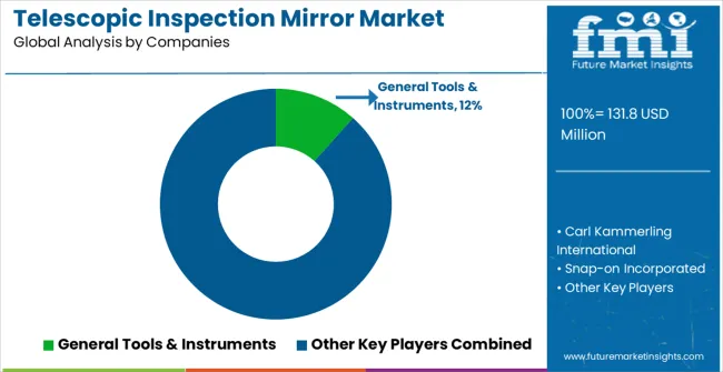 Telescopic Inspection Mirror Market Analysis By Company