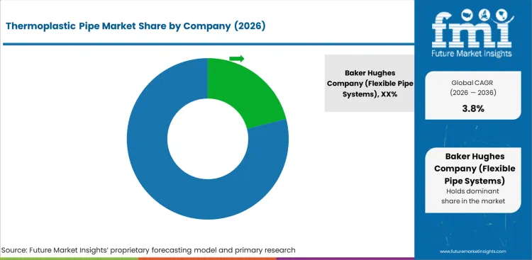 Thermoplastic Pipe Market Analysis By Company