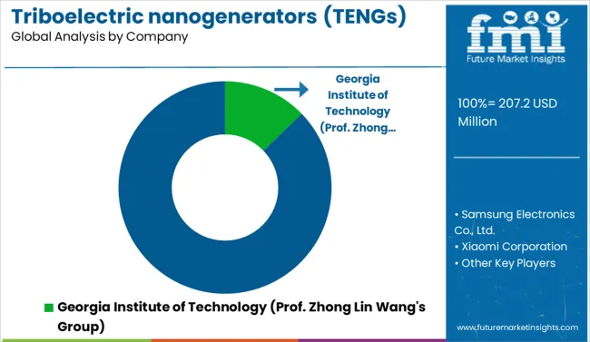 Triboelectric Nanogenerators (tengs) Market Analysis By Company