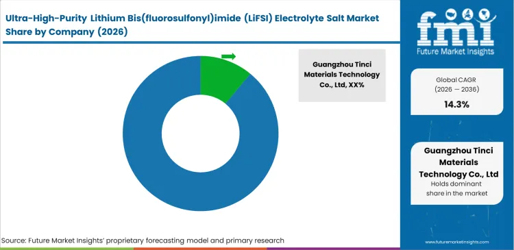 Ultra High Purity Lithium Bis(fluorosulfonyl)imide (lifsi) Electrolyte Salt Market Analysis By Company