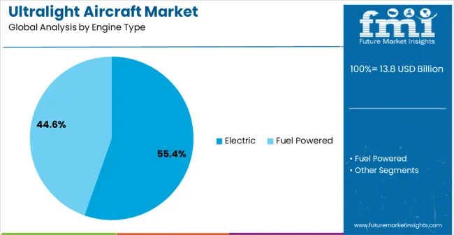 Ultralight Aircraft Market Analysis By Engine Type