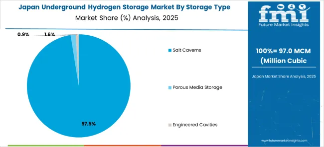 Underground Hydrogen Storage Market Japan Market Share Analysis By Storage Type Outlook