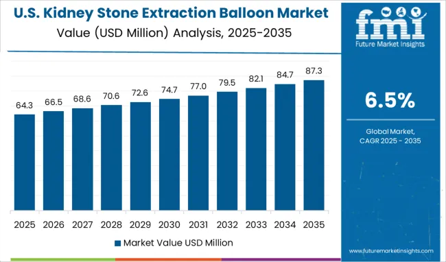 United States Kidney Stone Extraction Balloon Market Value Analysis