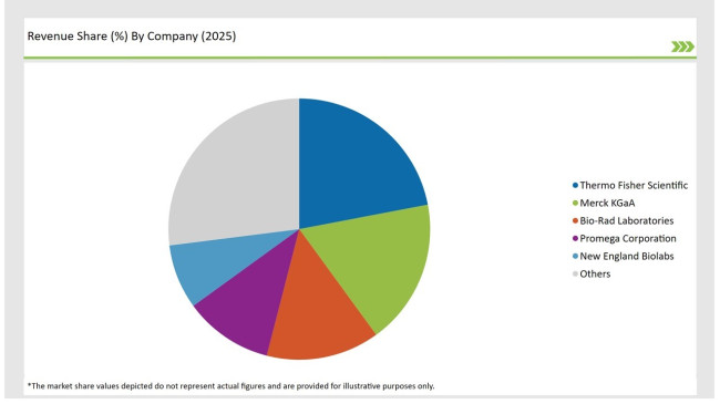 United States Nucleotide Premixes Market Revenue Share By Company 2025