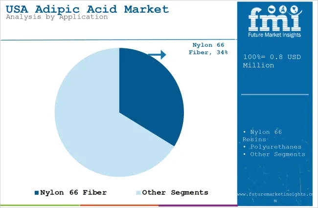 USA Adipic Acid Market Analysis By Application