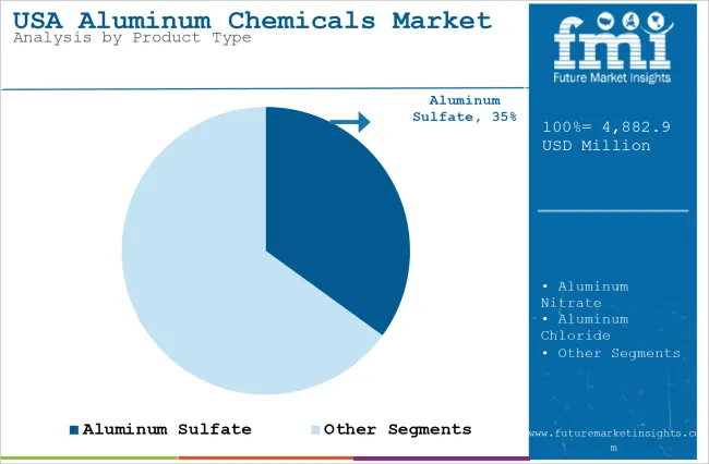 USA Aluminum Chemicals Market Analysis By Product Type
