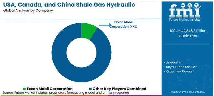Usa Canada And China Shale Gas Hydraulic Fracturing Market Analysis By Company