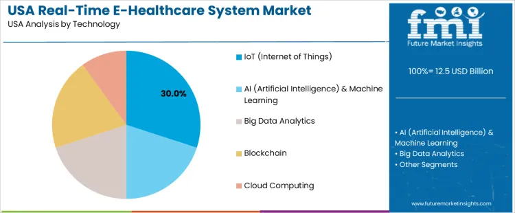 Usa Real Time E Healthcare System Market Analysis By Technology