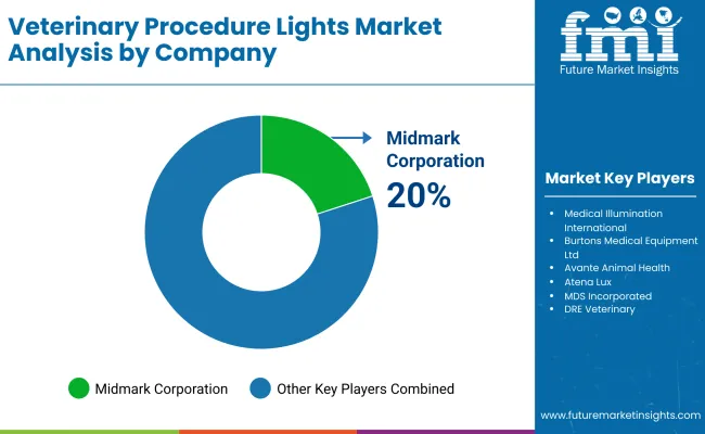 Veterinary Procedure Lights Market By Company Veterinary Procedure Lights Market By Company