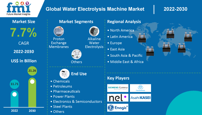 Water Electrolysis Machine Market