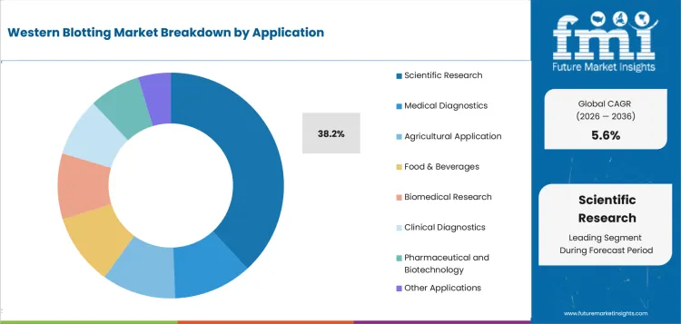 Western Blotting Market Analysis By Application Western Blotting Market Analysis By Application