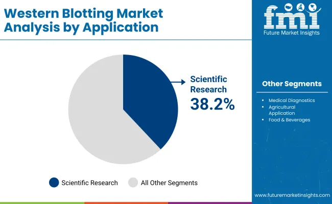 Western Blotting Market By Application