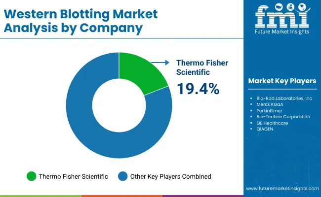 Western Blotting Market By Company