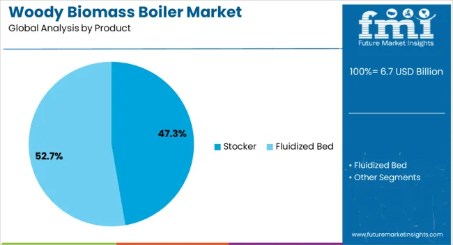 Woody Biomass Boiler Market Analysis By Product