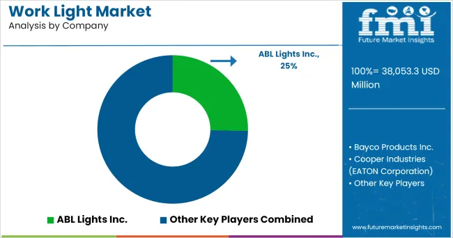 Work Light Market Analysis By Company