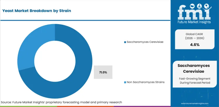 Yeast Market Analysis By Strain