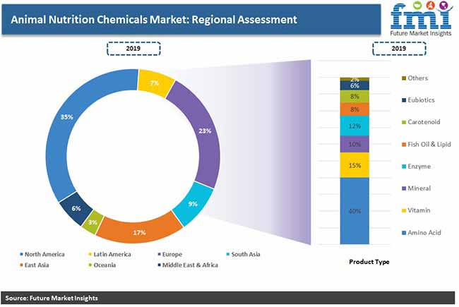 Animal Nutrition Chemicals Market Regional Assessment Pr animal nutrition chemicals market regional assessment pr