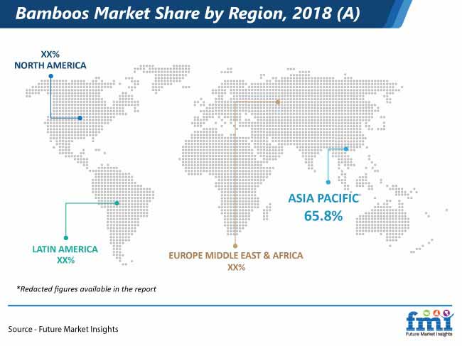 bambbos market share by region pr