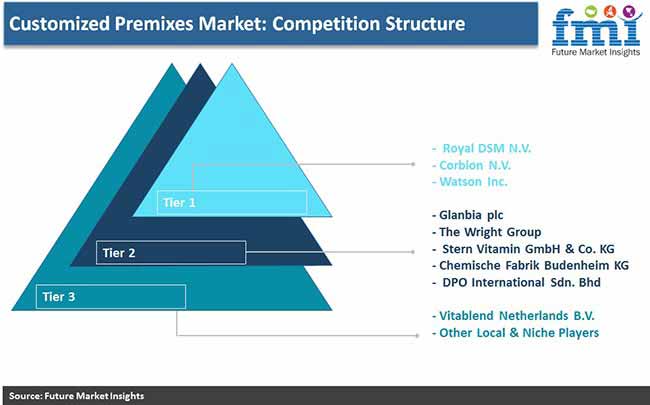 Customized Premix Market Competition Structure Pr customized premix market competition structure pr