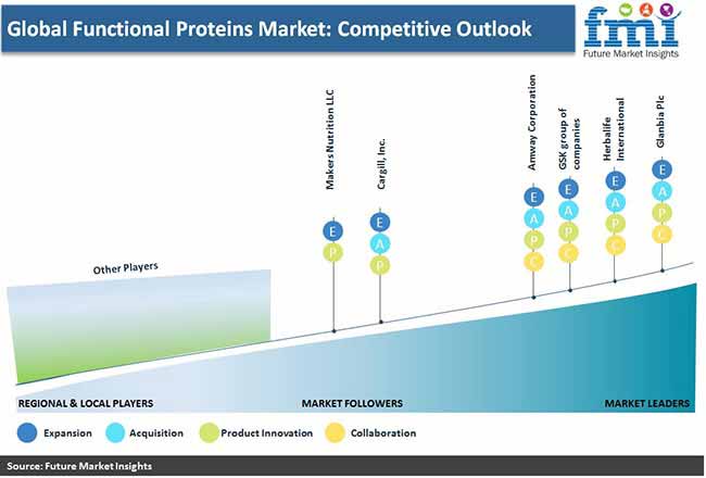 Global Functional Protein Market Regional Assessment Pr global functional protein market regional assessment pr