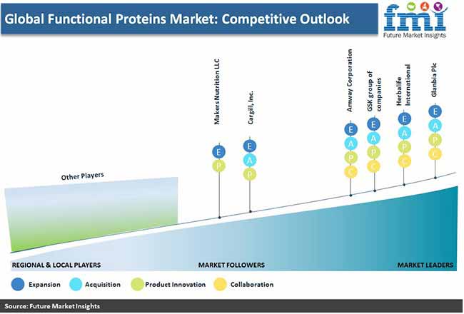 global functional protein market regional assessment pr