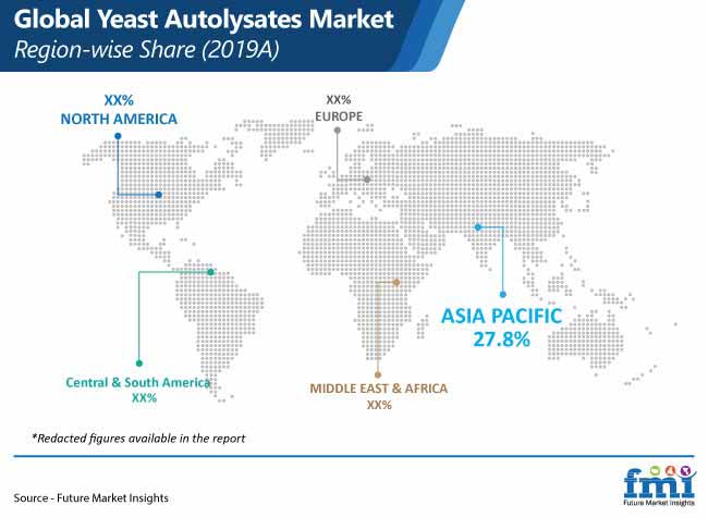 global yeast autolysates market region wise share