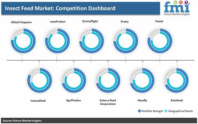 insect feed market pr