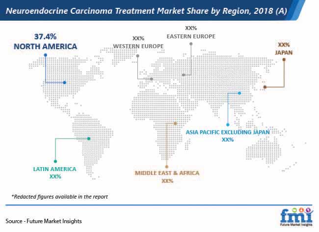 Neuroendocrine Carcinoma Treatment Market Share By Region neuroendocrine carcinoma treatment market share by region