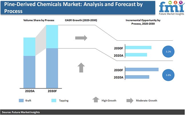 pine derived chemicals market analysis and forecast by process pr